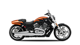 Harley Davidson v rod muscle