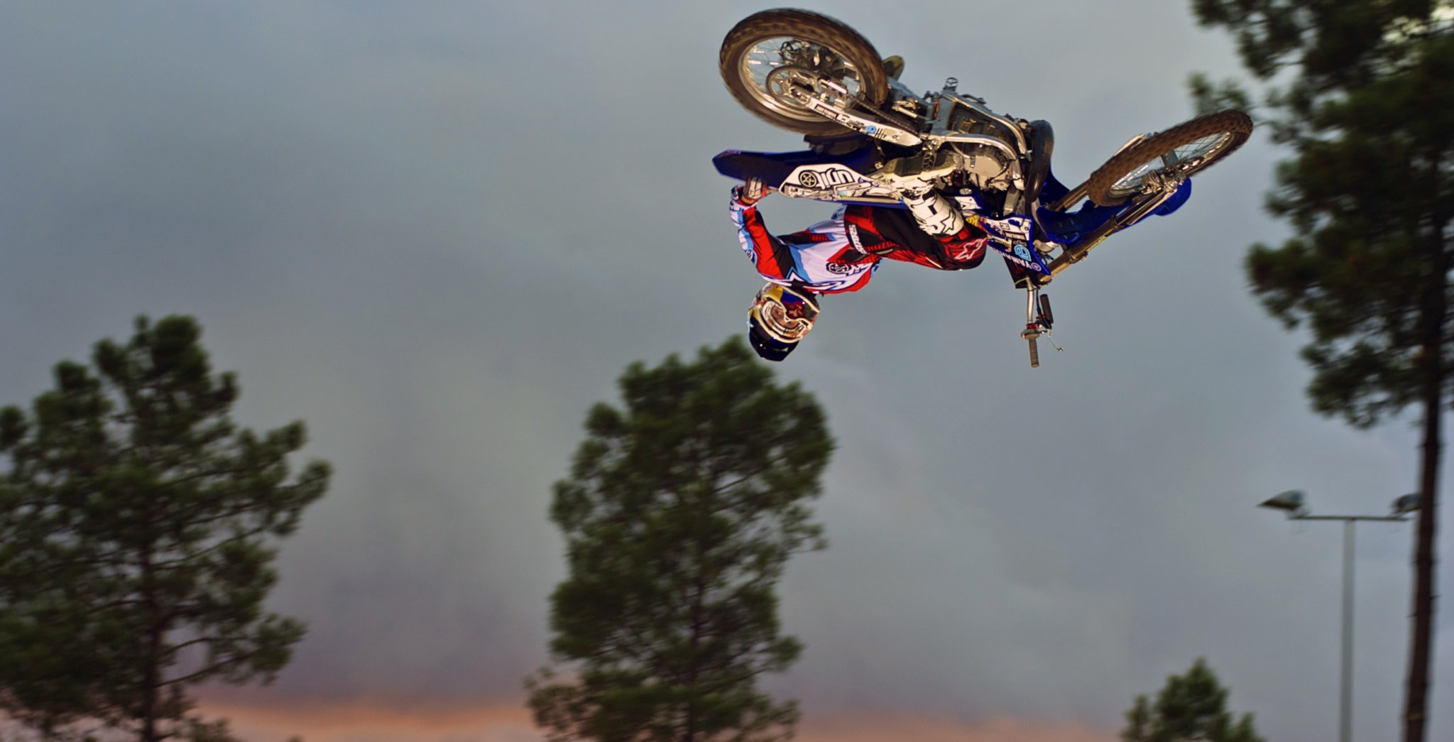 Whips, Whips, WHIPS !